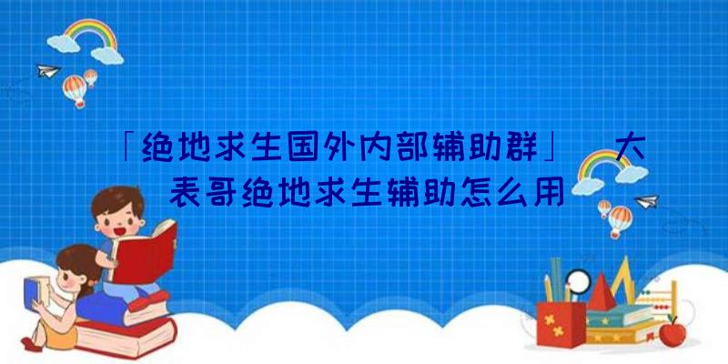 「绝地求生国外内部辅助群」|大表哥绝地求生辅助怎么用